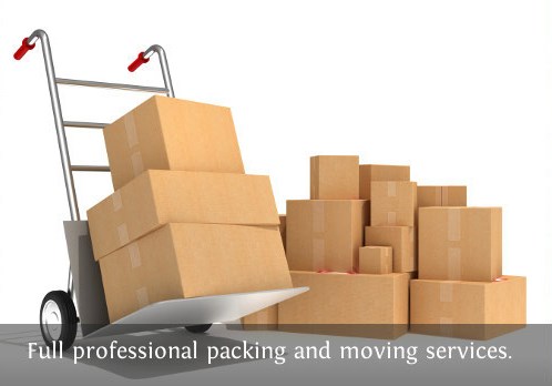 Moving & Storage Service: Your Reliable Long Distance Moving Service Florida